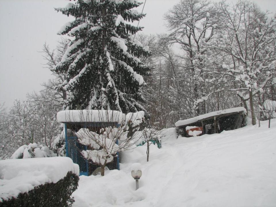 Peter Ranch 1 Appartement Vico Canavese Buitenkant foto